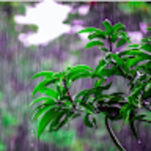 Meet your Posher, Amara